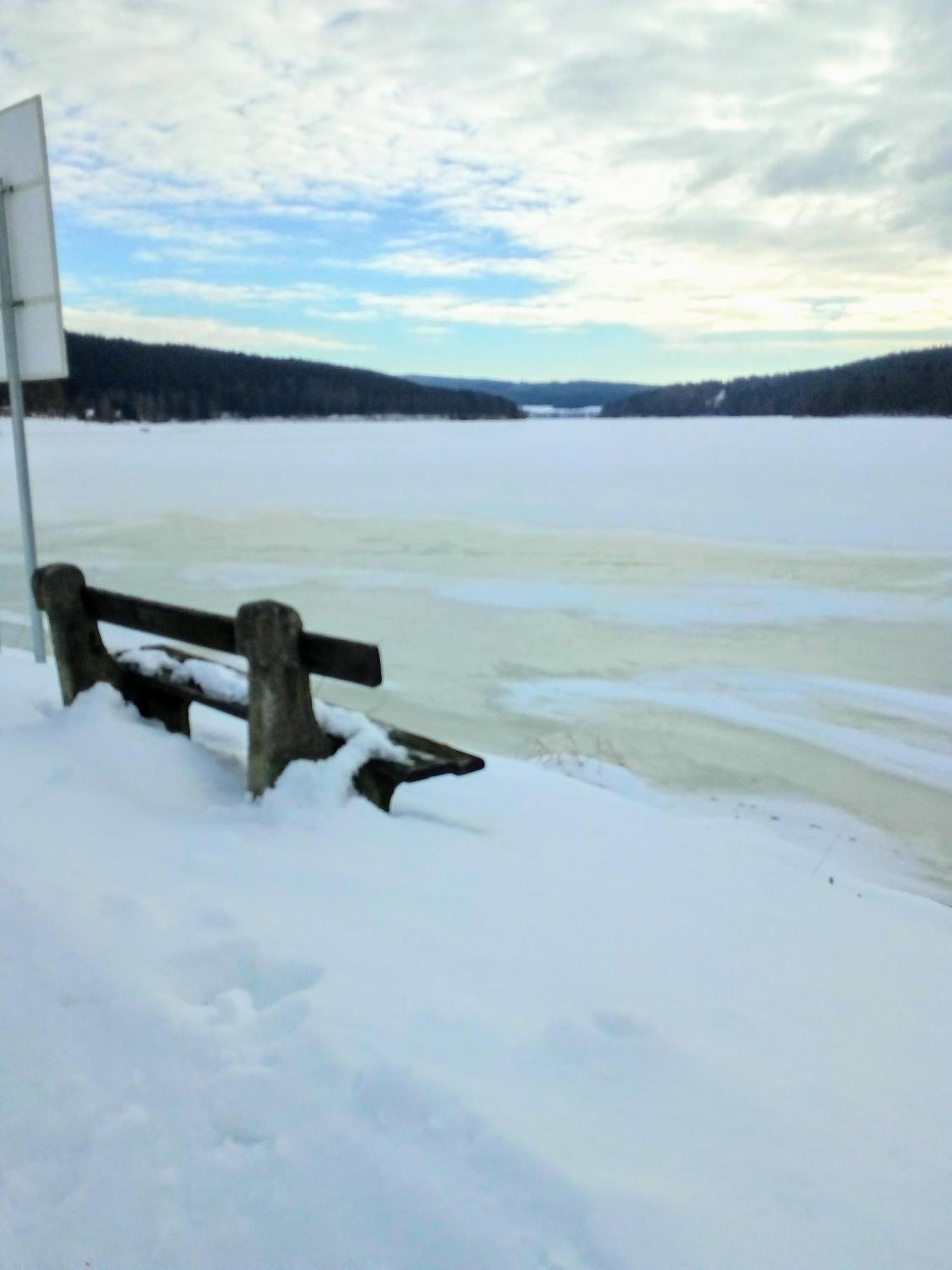 Apartman Leo Nr. 8 Lipno Nad Vltavou Zewnętrze zdjęcie
